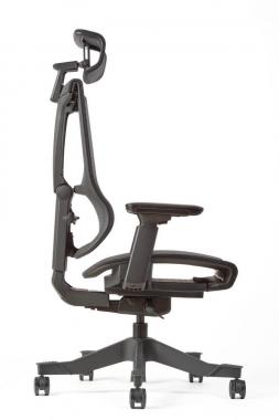 Ergonomic Chair
